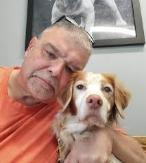 Rock Solid Brittanys