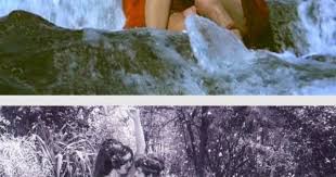 Nagin 1976 With Jitendra Tere Sang Pyar In 2020 Reena Roy Indian Actresses Fictional Characters