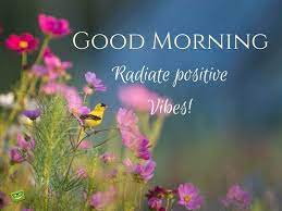 Good Morning Radiate Positive Vibes Pictures Photos And Images For Facebook Tumblr Pinterest And Twitter