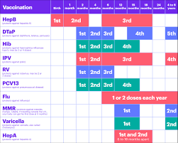 Vaccination Chart For Newborn 2019