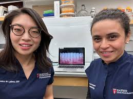 The Power of Collaboration in Research