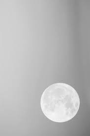 Simple White Photography Aesthetic Colors Gray Aesthetic White Photography Gray Aesthetic White Aesthetic
