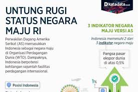 Usaha dagang dinilai sebagai sebuah bisnis yang paling menguntungkan. Untung Rugi Indonesia Menyandang Status Negara Maju Infografik Katadata Co Id
