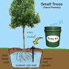 20 tree gallon watering bag garden plants drip irrigation bags slow release hanging dripper reusable agricultural water bag #t1g. 1