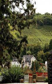 kues blick auf die weinberge auf bernkasteler seite view of the vineyards of bernkastel pictures of germany germany travel europe tours
