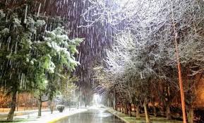 En el transcurso de la madrugada cayeron entre 5 y 10 centímetros de nieve en la. Cayo Nieve En Buenos Aires Y Dejo Sorprendentes Postales Agrofy News