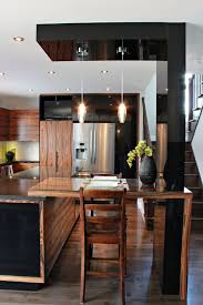 Cuisine Noir Et Bois Kitchen Door Design Design