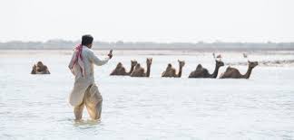 She was kept warm by the pool and also got chilled just right when her lover showed up and popped the cold bubbly all. Where Camels Take To The Sea Vikalp Sangam