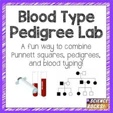 Blood Type Pedigree Lab By Science Lessons That Rock Tpt