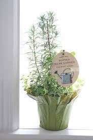 Thoughtful Gifts Herb Garden Pots Herb Garden Hanging Herbs