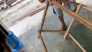 Berikut ini akan kami bahas mengenai kandang kelinci mulai dari cara membuat dan model yang bisa dibuat. 100 Contoh Desain Kandang Marmut Terbaik