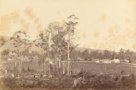 General View Of Coranderrk Aboriginal Station Fred Kruger Ngv Aboriginal History Australia History Aboriginal