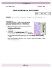 Follow the directions to complete the activity. What Is The Role Of Enzymes In The Dna Replication Process Gizmo