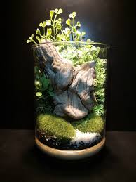 Pin By Anne Mount On Terrarium Tervek Otletek In 2020 Creative Gardening Mini Garden Zen Garden