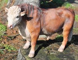 Unter dem titel „oh! hat die buxtehuder künstlerin susanne weggen ein kunstwerk. Figur Ochse Bulle Stier Xl Tierfigur Kaufland De