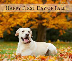 With tenor, maker of gif keyboard, add popular happy first day of autumn animated gifs to your conversations. 23 Happy First Day Of Fall 2016 Greeting Pictures