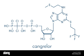 Image result for Cangrelor