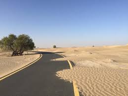 We did not find results for: Stopped By The Lakes Picture Of Al Qudra Cycle Path Dubai Tripadvisor