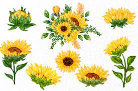 Free Free 349 Clipart Sunflowers Images SVG PNG EPS DXF File