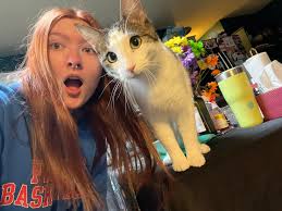 Places in Toledo hiring and paying for STNA license