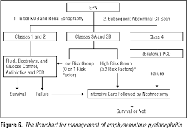 Figure 6 From Emphysematous Pyelonephritis