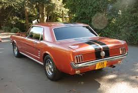 Image result for Sungold Amber 1966 AMC