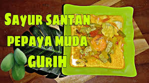 Resep sayur pepaya muda dapat anda jadikan pilihan dikala anda sedang ingin menyuguhkan menu sayur yang enak dan sederhana untuk acara makan bersama keluarga anda dirumah. Resep Sayur Santan Pepaya Muda Enak Youtube