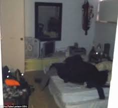 If you're able to shine light on a cockroach you can get him to start running, making it easier to spot him. Ohio State Students Find Stranger Living In A Secret Room In Their Basement Daily Mail Online