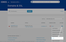 Connecting 1and1 Ionos Domain To Your Ecwid Instant Site Ecwid Help Center