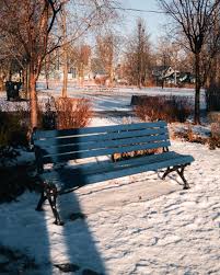 Snow. Ice. A city slowed down ?? Toronto is under a winter storm warning  across the Greater Toronto Area with snow, freezing rain, and ice pellets  expected throughout the day. From soft