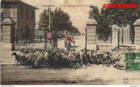 St Louis Les Nouveaux Abattoirs Sortie Canal De Suez Cite Phoceenne Tour De France Cycliste