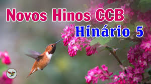 Ccb, hinário 5 ccb cantado, lindos hinos ccb, hinos ccb, ccb hinos, ccb, louvores ccb. 8 Hinos Ccb Cantados Hinario 5 Ideas Blue Jay Alcoholic Drinks Animals