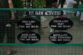 Maybe you would like to learn more about one of these? Pet Farm Activities Picture Of Avillion Port Dickson Tripadvisor