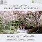 Cherry Blossom Festival