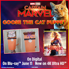 Dress up like your favorite superhero, play games, put on a marvel movie and for some quiet downtime, print our free marvel coloring pages. Best Captain Marvel Paper Craft And Free Printable Coloring Pages