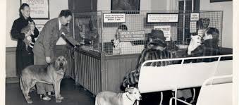 If you are searching for a trusted veterinarian in raleigh, look no further than capital blvd animal hospital & pet inn. Our History The Animal Medical Center