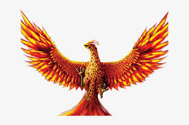 A phoenix in greek mythology was a bird that could live for a long time and could also be regenerated or reborn from the ashes of its predecessor. Phoenix Bird Transparent Background Png Image Transparent Png Free Download On Seekpng