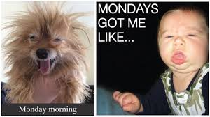 Find the newest monday meme meme. 65 Funny Monday Memes To Help You Make It Through The Day