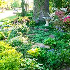 Pin On Backyard Landscape