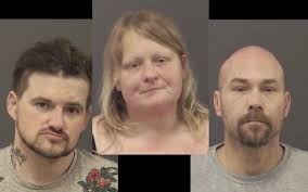 Bolingbrook Police: Traffic Stop Leads To Arrest Of Three For Drug  Possession