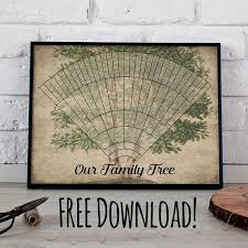 Free Download Printable 6 Generation Custom Family Tree Fan
