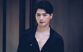 #jawaban yang paling banyak di dukung data, itu jawaban. What Is The Net Worth Of Thai Actor Krist Perawat Sangpotirat