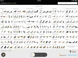 Dover birds of prey (bp), dover fifty favorite birds (f). Collins Bird Guide App Prairie Birder