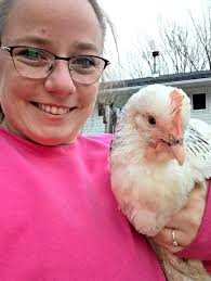 Pics of my baby girl for attention!!! Someone please help me! My Meg has  been really weird the last few days. Out of nowhere she started being mean,  her comb is pale,