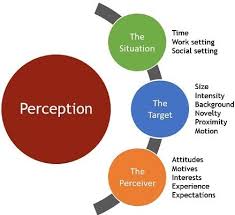 Definition Perception Is A Process By Which People Regard Analyze Retrieve And React To Any Kind Of Informati In 2020 Perception Organizational Behavior Definitions
