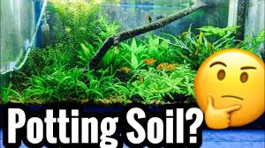India's first private aquarium gallery and pet mall. Potting Soil Vs Organic Soil In Aquarium Dirt Substrate Youtube