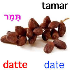 Be Ivrit Dattes Mot Du Jour Les Noms Des Fruits