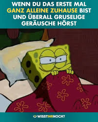 Allein zu haus gelassen zu werden, ist für ihn von natur aus eine. Wisst Ihr Noch Wenn Du Das Erste Mal Ganz Alleine Zuhause Bist Und Uberall Gruselige Gerausche Horst Facebook