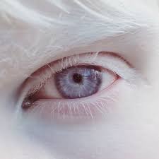 Purple Eyes Myth Or Real Steemit