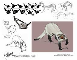 Ferret Skeleton Randy Toroni 39 S Drawing Reference Art Creatures